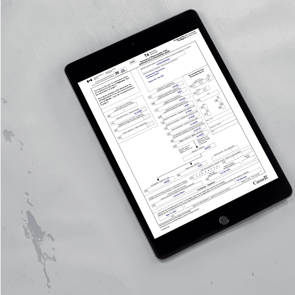 Free pay stub being created with laptop